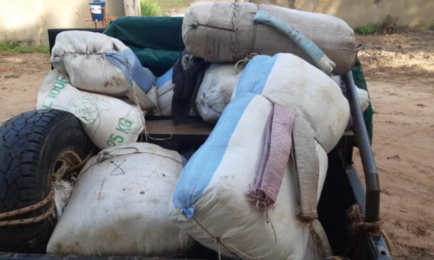 « PUNCH OPERATION » IN THE CENTER: A ton of prohibited products seized in Kaolack and Kaffrine